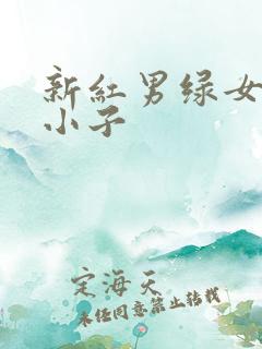 新红男绿女之坏小子