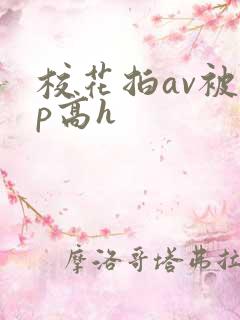 校花拍av被np高h
