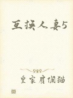 互换人妻5
