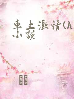 车上激情(h)小说