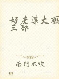 好老婆大联盟第三部
