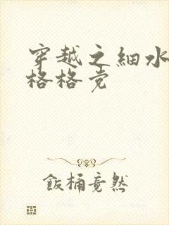 穿越之细水长流格格党