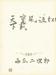 天宝风流txt下载