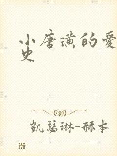 小唐璜的爱情历史