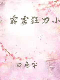 霹雳狂刀小说