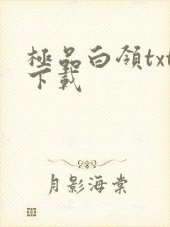 极品白领txt下载