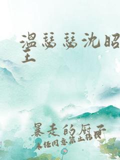 温瑟瑟沈昭摄政王