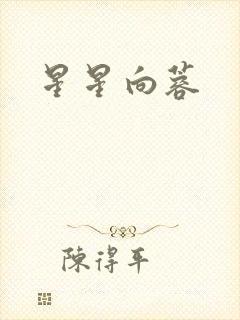 星星向蓉