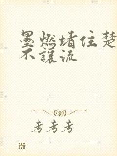 墨燃堵住楚晚宁不让流