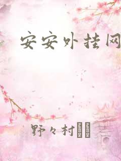 安安外挂网