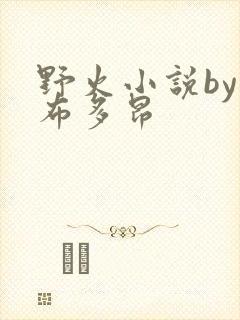 野火小说by夏布多昂