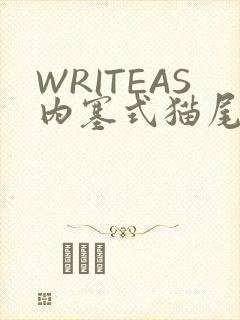 WRITEAS内塞式猫尾