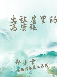 出租房里的交互高康张