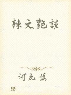 辣文艳说