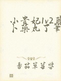 小贵妃1v2萝卜药丸了笔趣阁