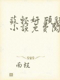 苏轻妍 顾辞笙小说免费阅读