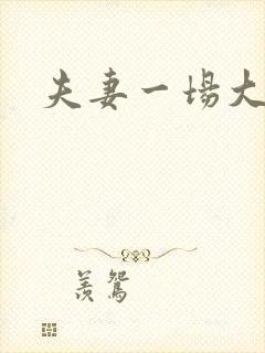 夫妻一场大结局