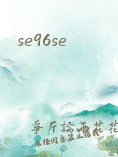 se96se