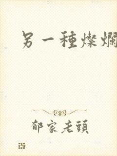 另一种灿烂生活