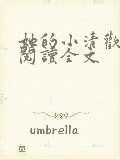 她的小清欢免费阅读全文