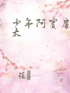 少年阿宾房东太太