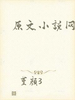 原文小说网