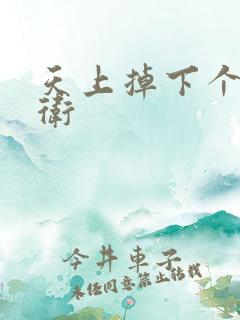 天上掉下个影卫卫