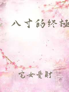 八寸的终极凶器