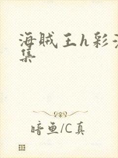 海贼王h彩漫画集