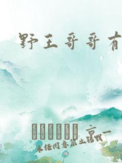 野王哥哥有点甜