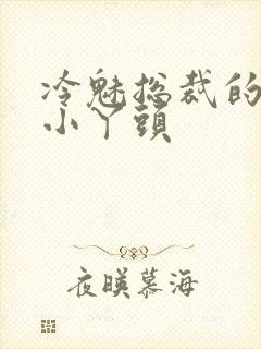 冷魅总裁的纯纯小丫头