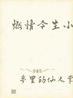 燃情今生小说