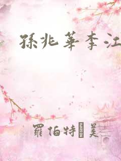 孙兆华李江小说