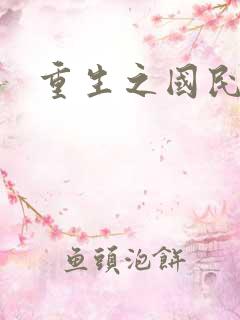 重生之国民老公