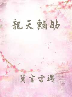龙天辅助