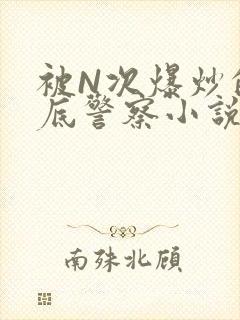 被N次爆炒的卧底警察小说