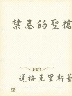 禁忌的圣枪