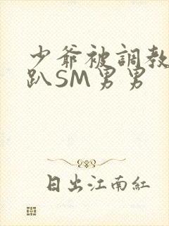 少爷被调教室跪趴SM男男