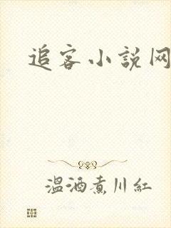追客小说网