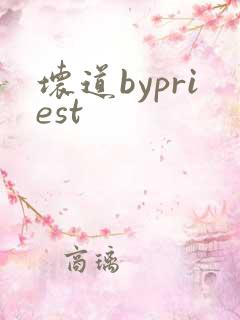 坏道bypriest