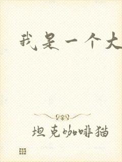我是一个大盗贼