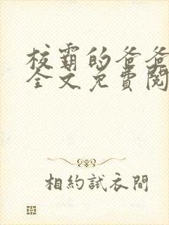 校霸的爸爸小说全文免费阅读