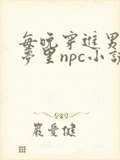 每晚穿进男神的梦里npc小说