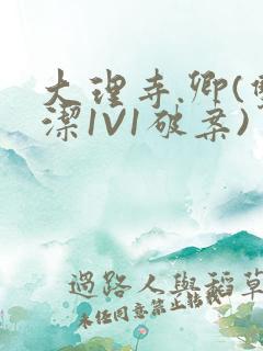 大理寺.卿(双洁1V1破案)