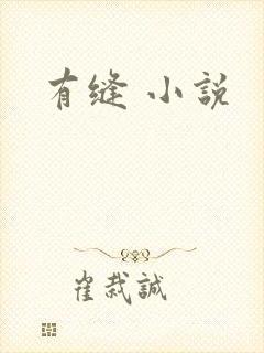有缝 小说