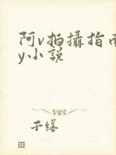 阿v拍摄指南by小说
