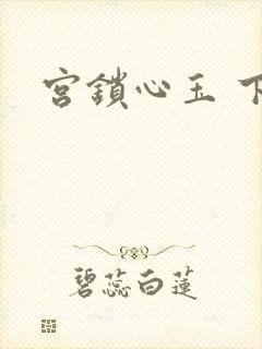 宫锁心玉 下载