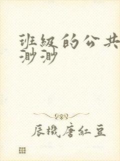 班级的公共玩具渺渺