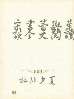 宋书蕾与叶临小说全文阅读