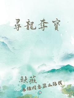 寻龙夺宝